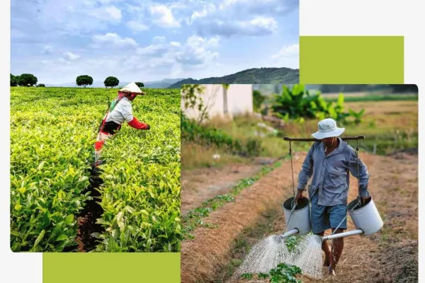 Agricultural worker performing general farm duties